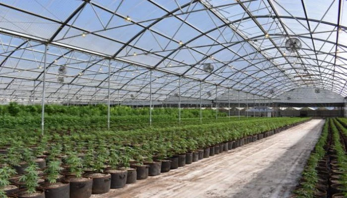 Hot Dip Galvanized Pipes: Why Are They the Most Durable Solution for Construction, Water Systems, and Industrial Infrastructure Today? 2 image
